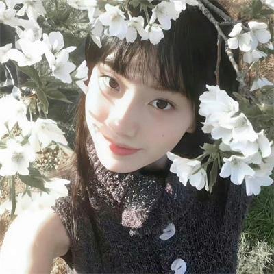 灵幻先生